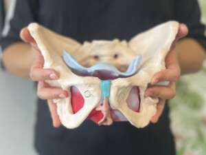 Pelvic Floor